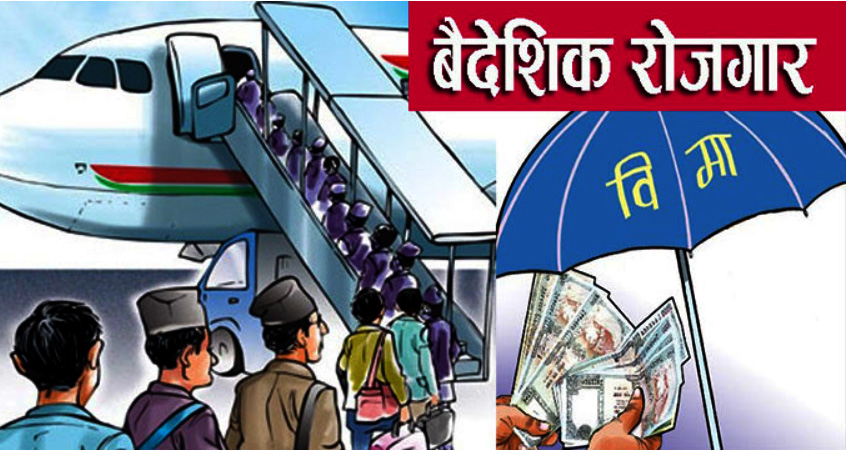 वैदेशिक रोजगार बीमामा चरम विकृति, ८०० रुपैयाँसम्मको कमिशनको चलखेल